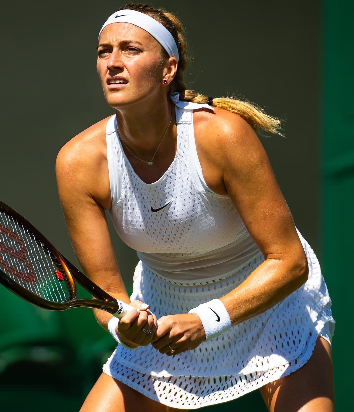  johnsonelectric深圳 